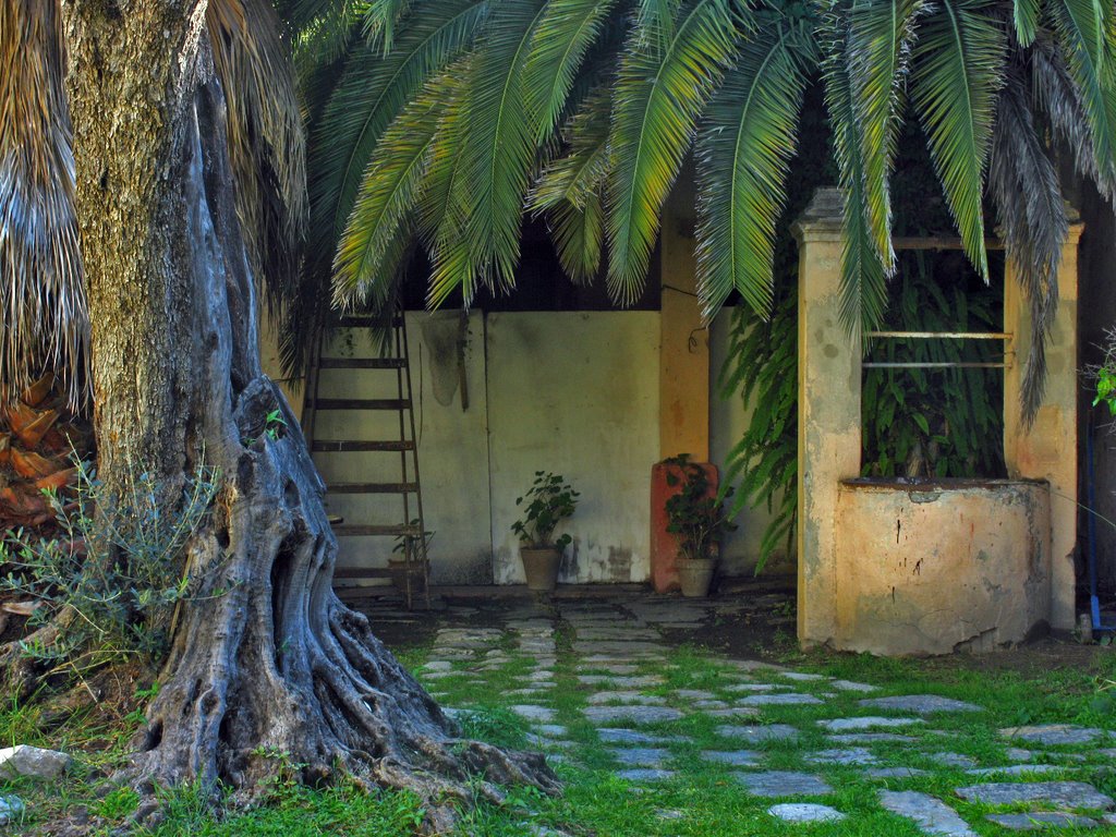 Casa de la Cultura - patio interno - aljibe
