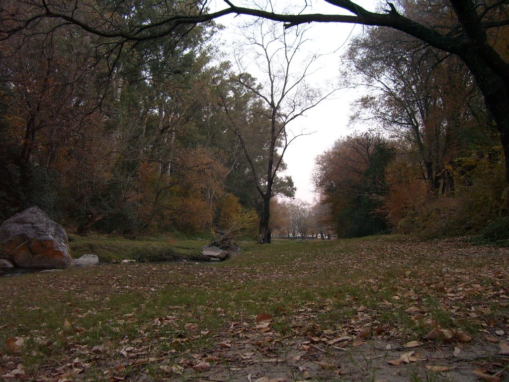 A la orilla del arroyo Chicamtoltina (Otoño)