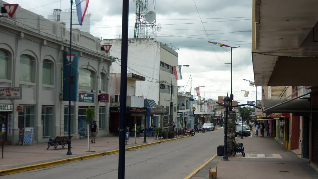Calle comercial Alta Gracia