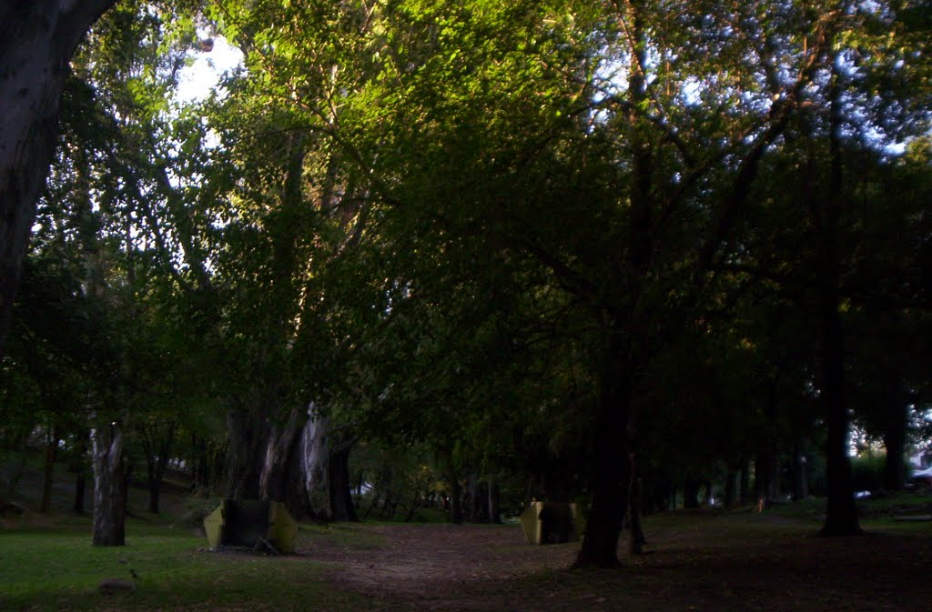 sombras y frescura