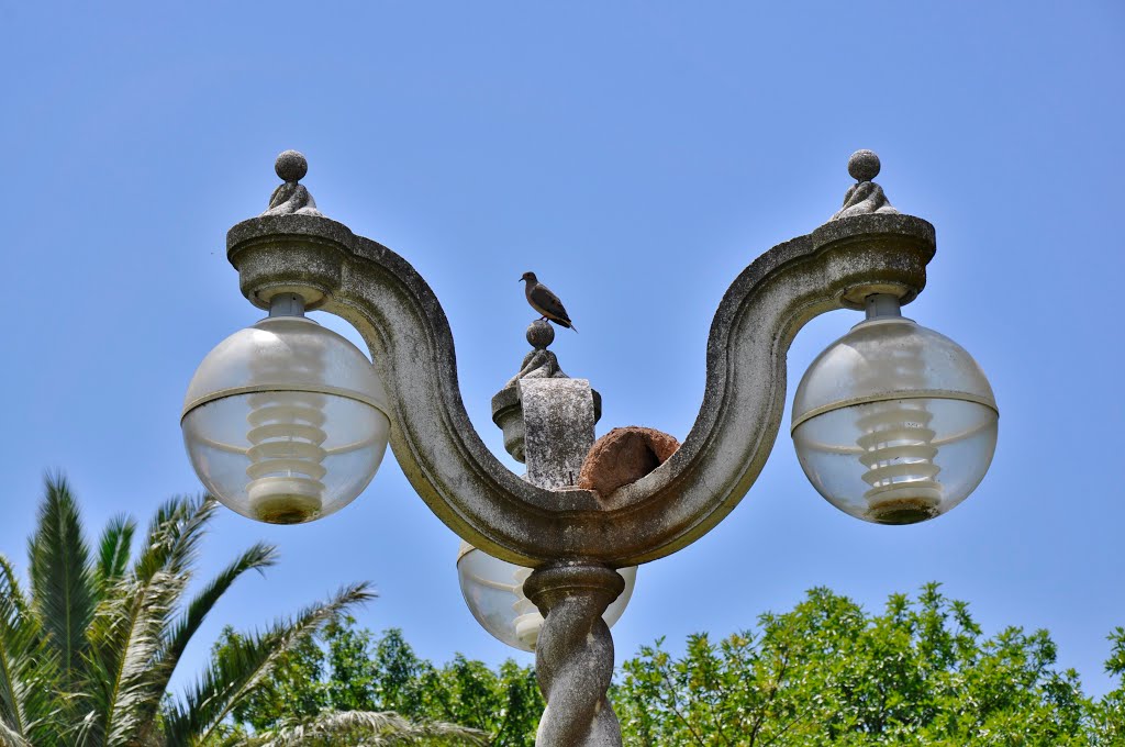 Casa bien iluminada - Alta Gracia - Córdoba - Argentina