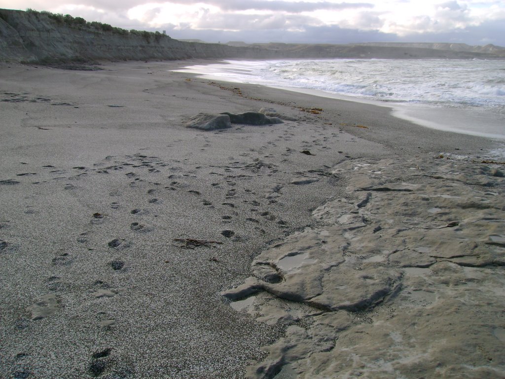 DESASTRE DE CALETA CORDOBA RECUPERADO