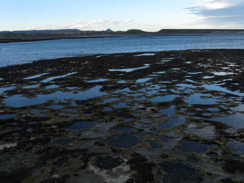 Desde el Muelle de Baja Mar. Caleta Córdova. Chubut, Argentina