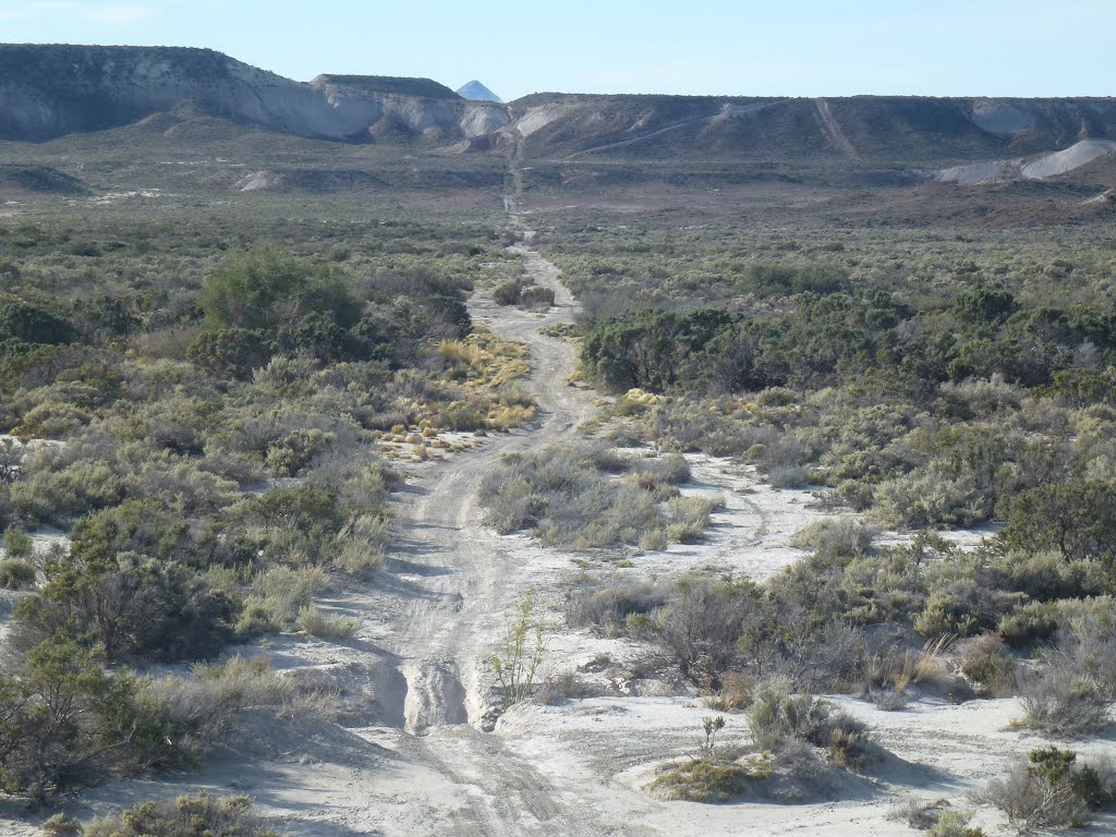 Paisaje Patagónico con el Pico Salamanca de Fondo