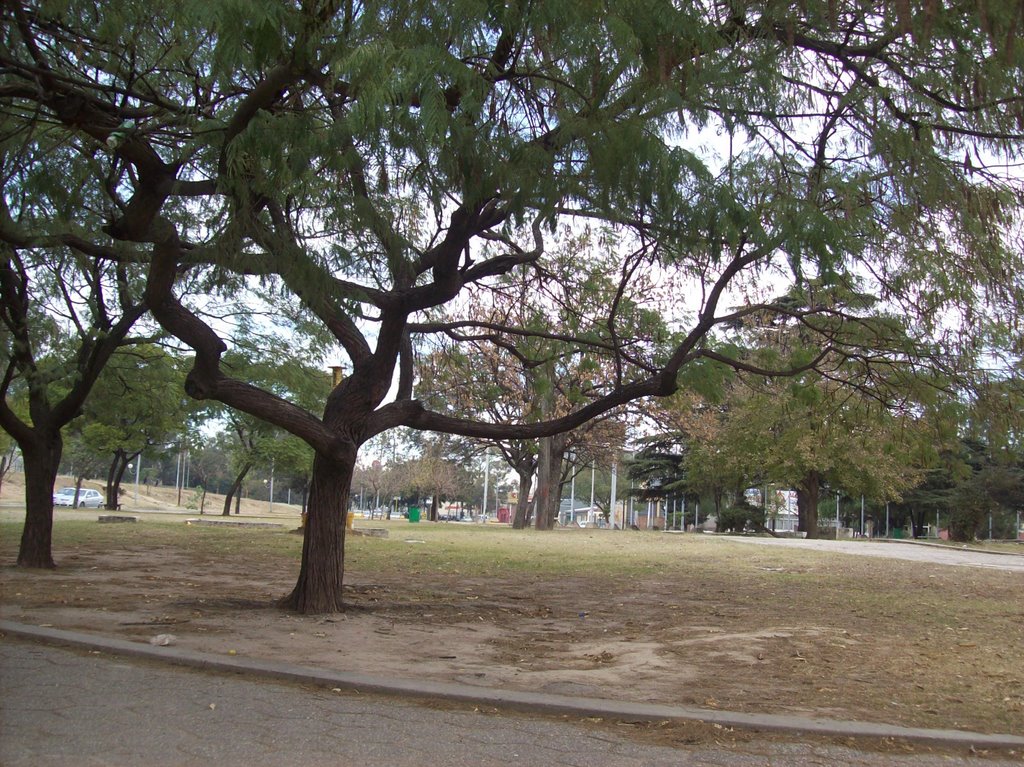 Plaza de Las Américas.- (Foto: Frank Boore).-