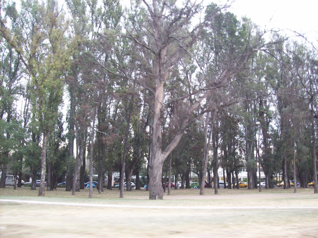Barrio Parque Vélez Sársfield.- (Foto: Frank Boore).-