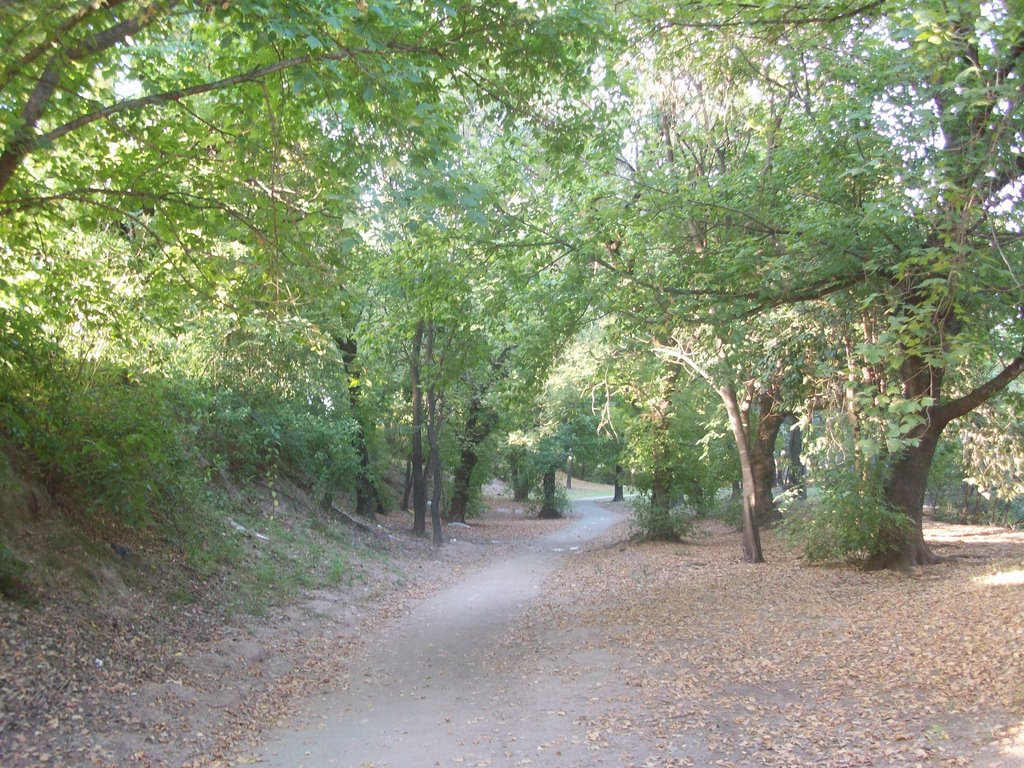 Parque de la vida. (foto. Frank Boore).
