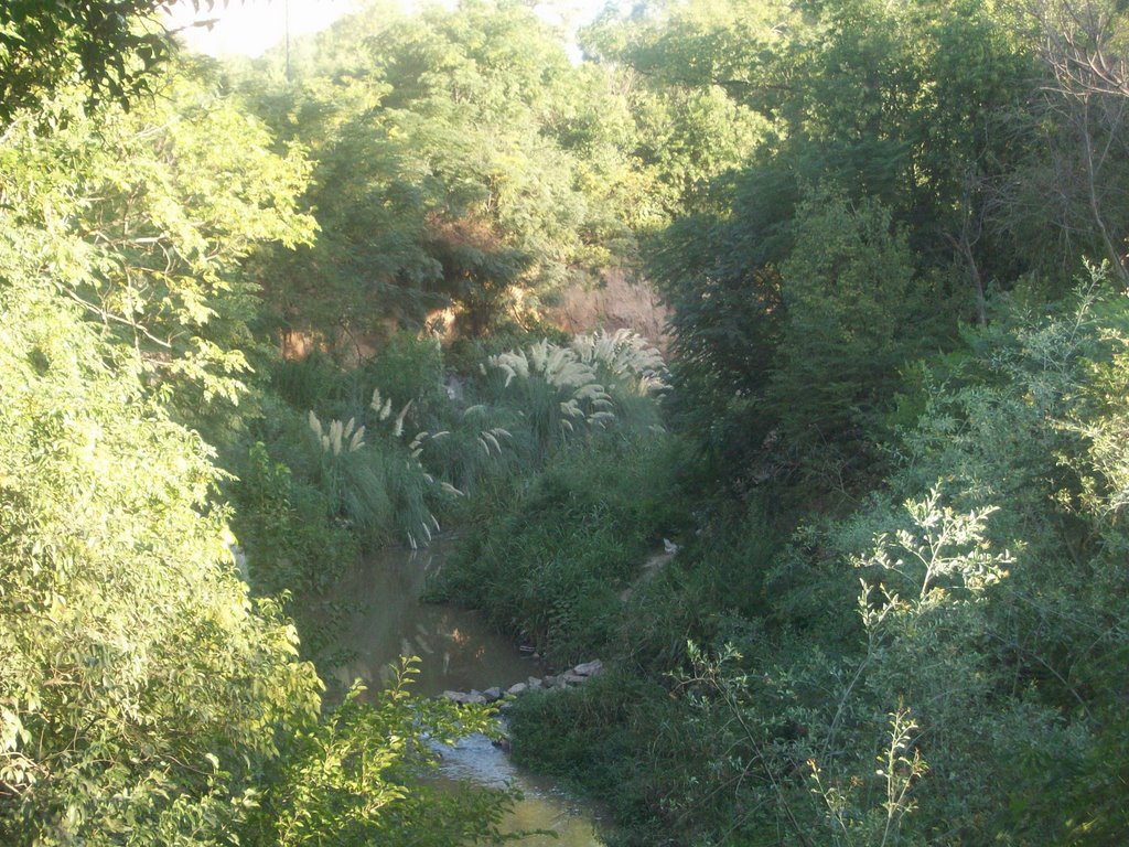 Parque de la vida. (foto. Frank Boore).