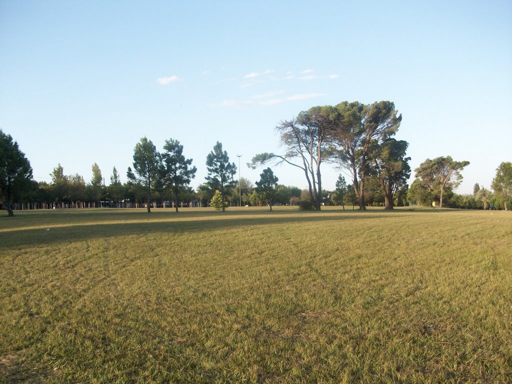 Parque de la vida. (foto. Frank Boore).