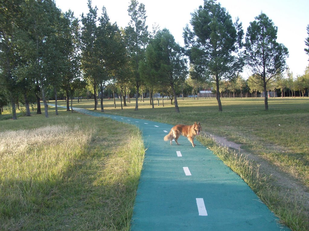 Parque de la vida. (foto. Frank Boore).