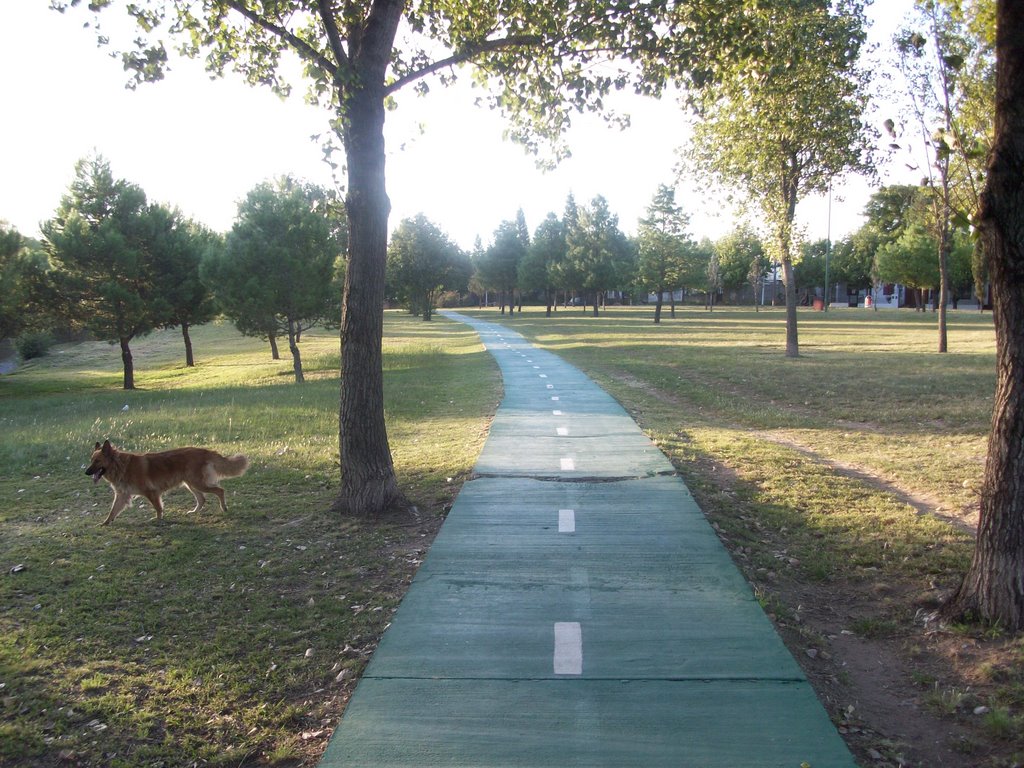 Parque de la vida. (foto. Frank Boore).
