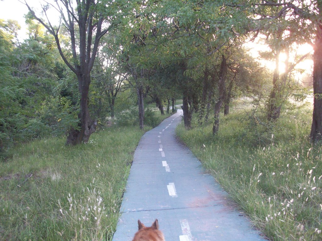 Parque de la vida. (foto. Frank Boore).