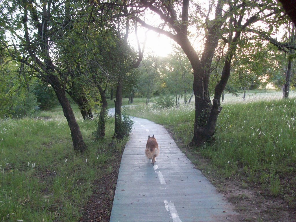 Parque de la vida. (foto. Frank Boore).