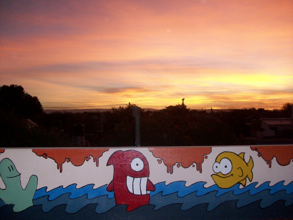 Puesta de sol en barrio Rosedal ☻ (foto: Frank Boore).-◘