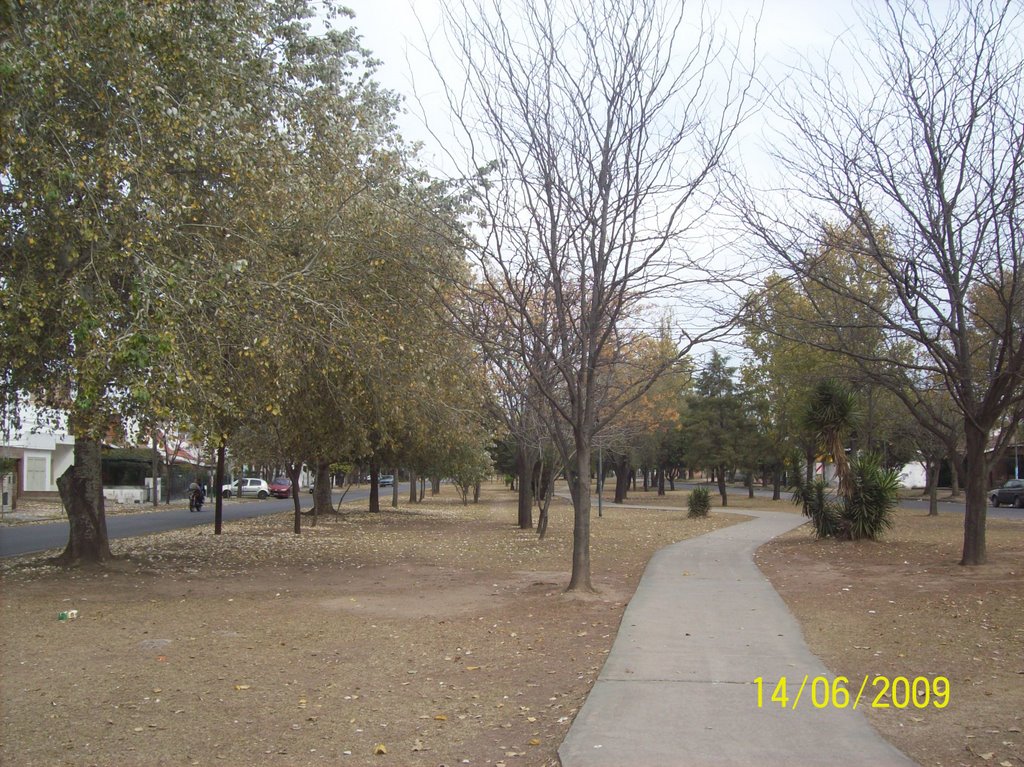Calle Cacheuta. (foto: Frank Boore).-