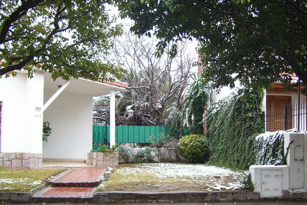 Nieve en Barrio Parque