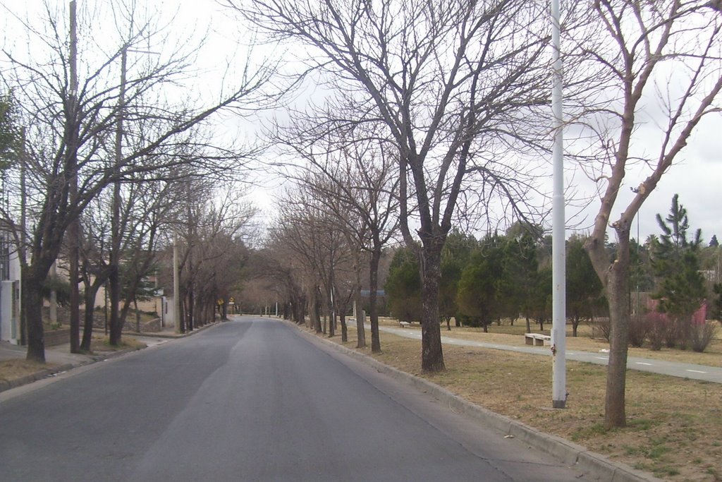 al lado del parque de la vida