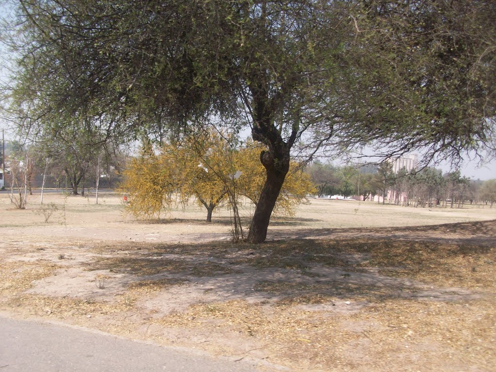 Aromito en el parque de la vida. (foto: Frank Boore).-