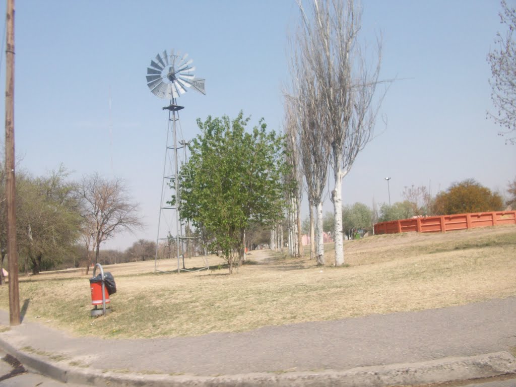 l Parque de la vida. (foto: Frank Boore).-