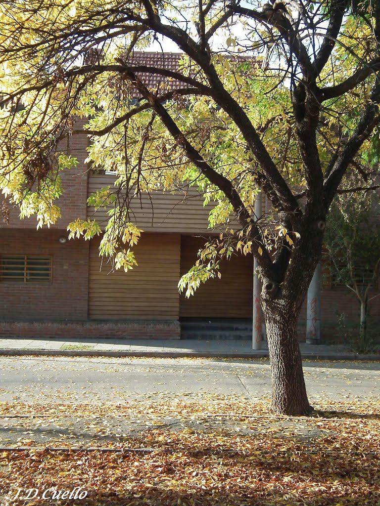 Córdoba en Otoño – Plaza Intendentes de Córdoba 2