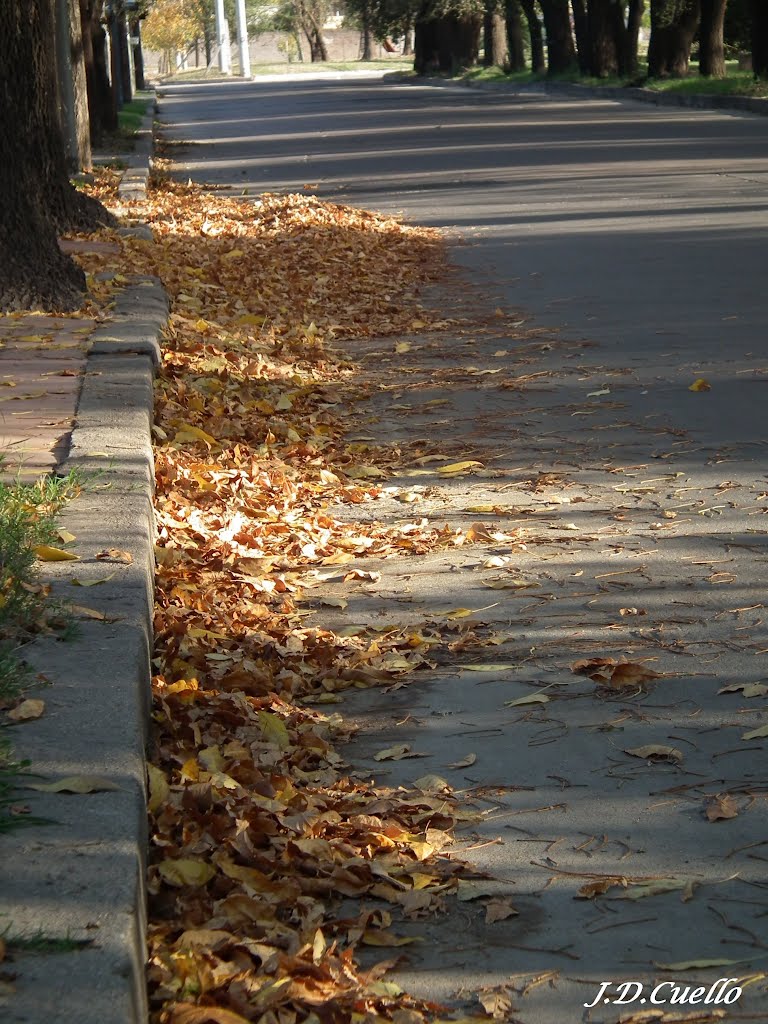 Córdoba en Otoño –  Calle Cacheuta al 4000 - Bº Parque Atlántica