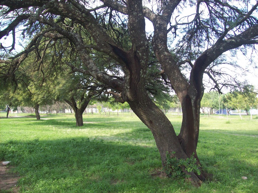 Parque de la Vida. (foto: Frank Boore).-