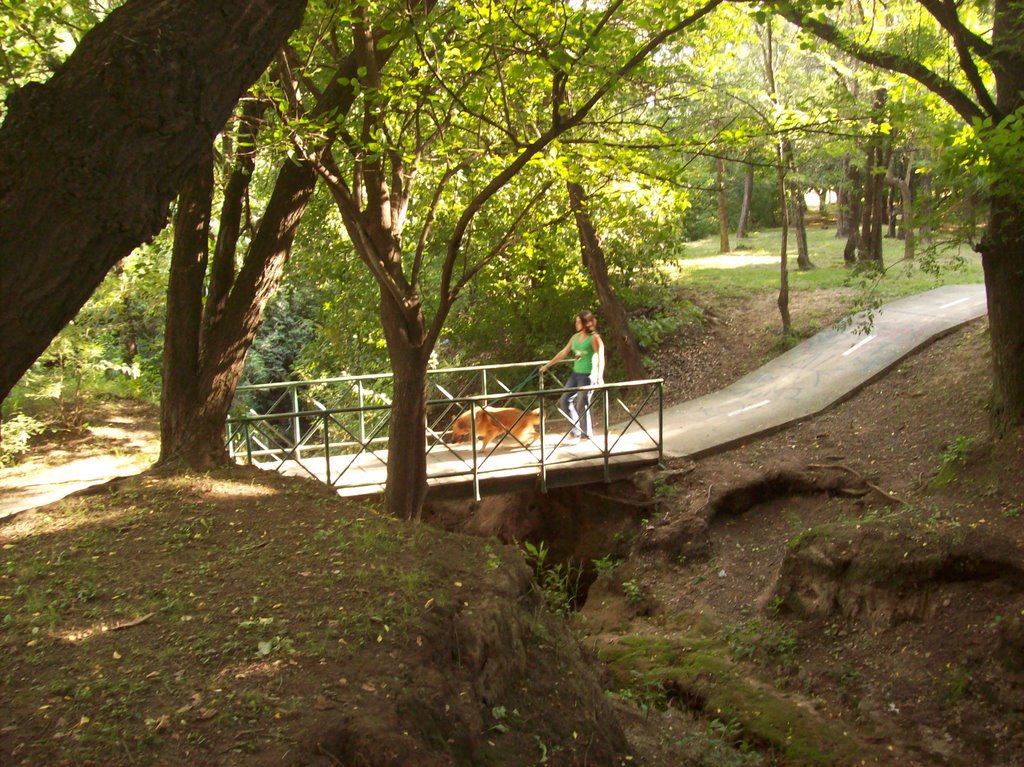 Parque de la Vida. (foto: Frank Boore).-