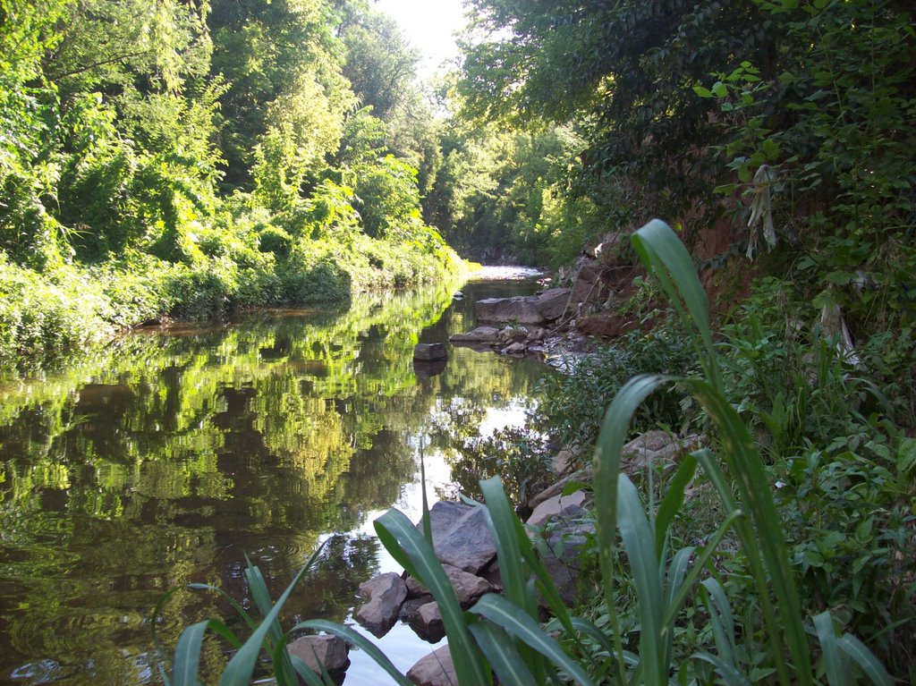 Parque de la Vida. (foto: Frank Boore).-