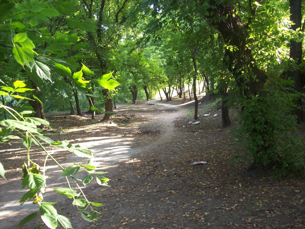 Parque de la Vida. (foto: Frank Boore).-