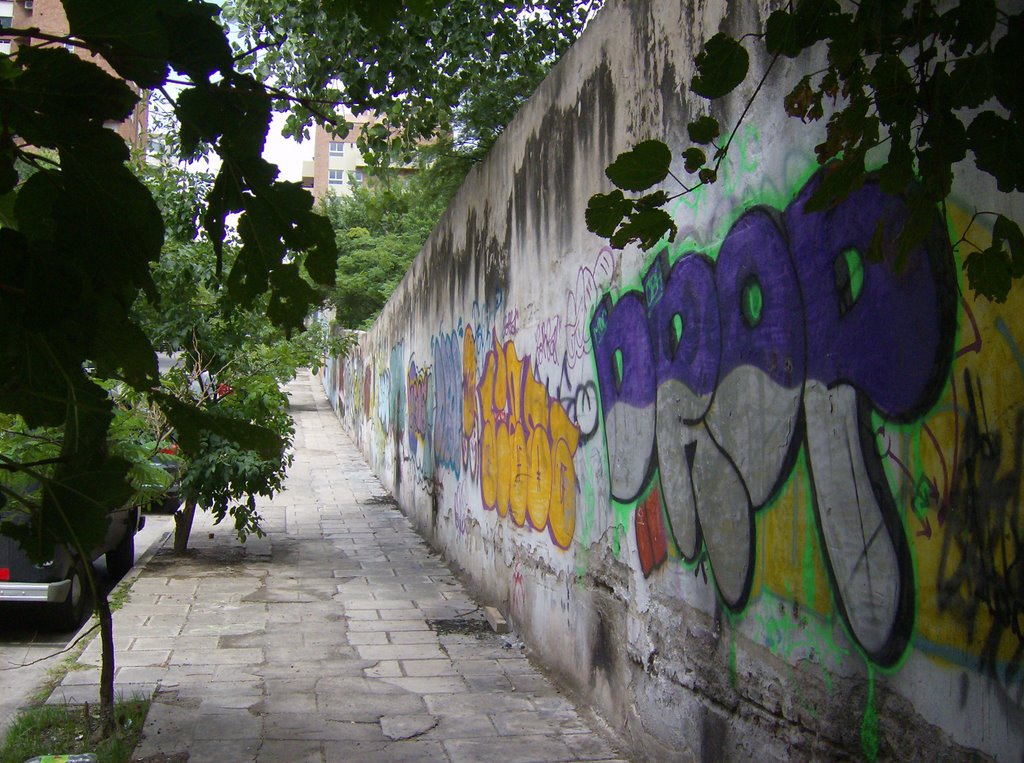 Graffitis, Obispo Trejo y Brasil (Nva Cba)
