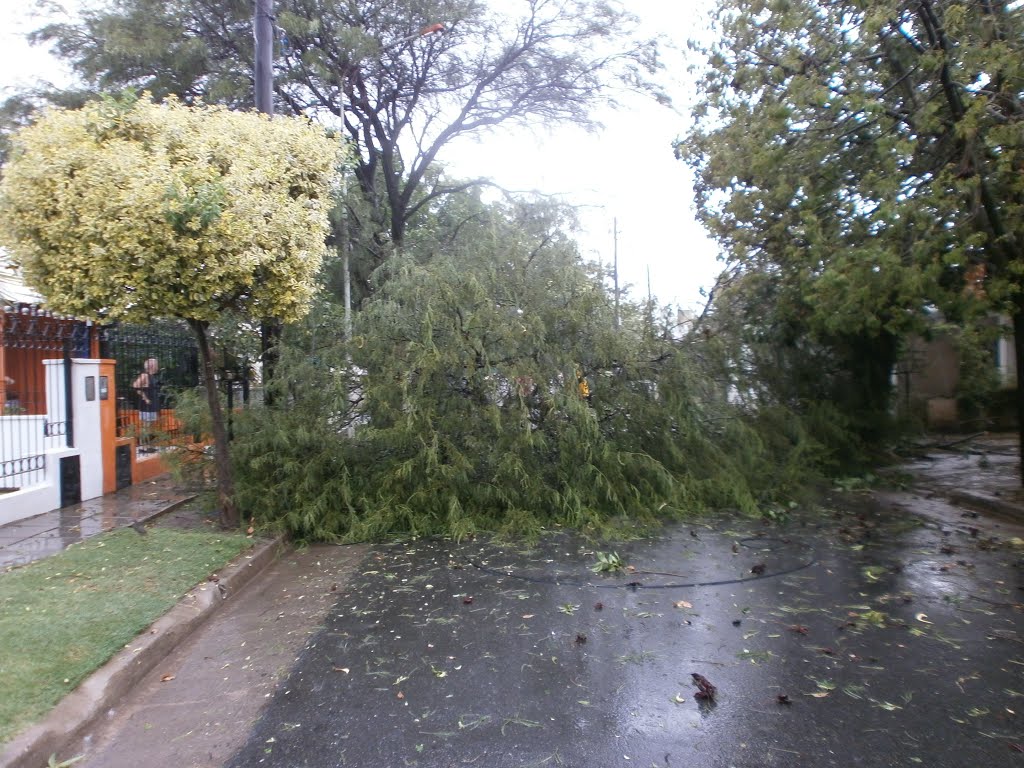 Se vino la tormenta. (foto: Frank Boore).-