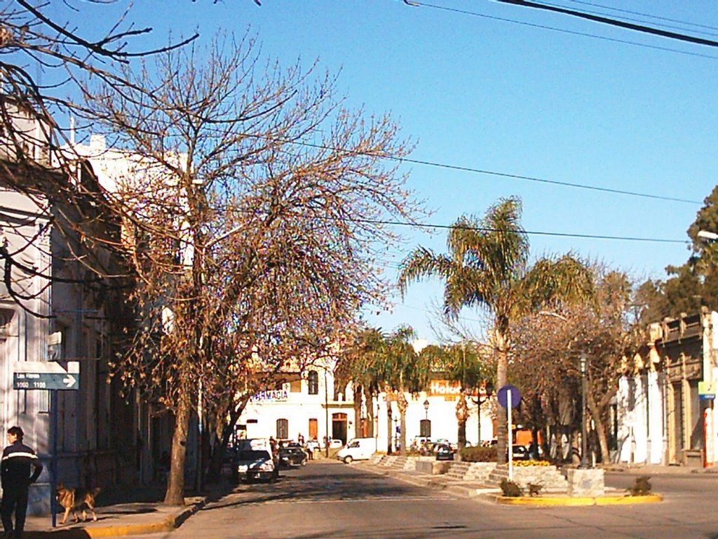 boulevard
