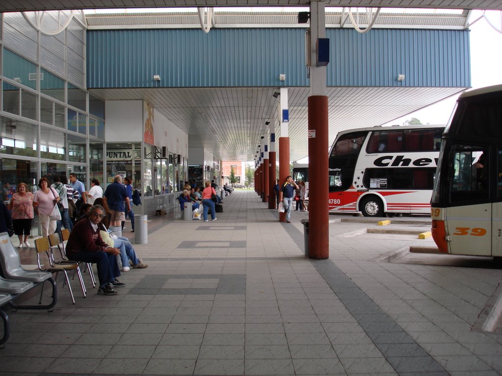 Terminal de omnibus