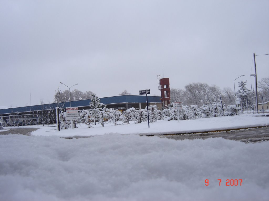 La terminal nevada