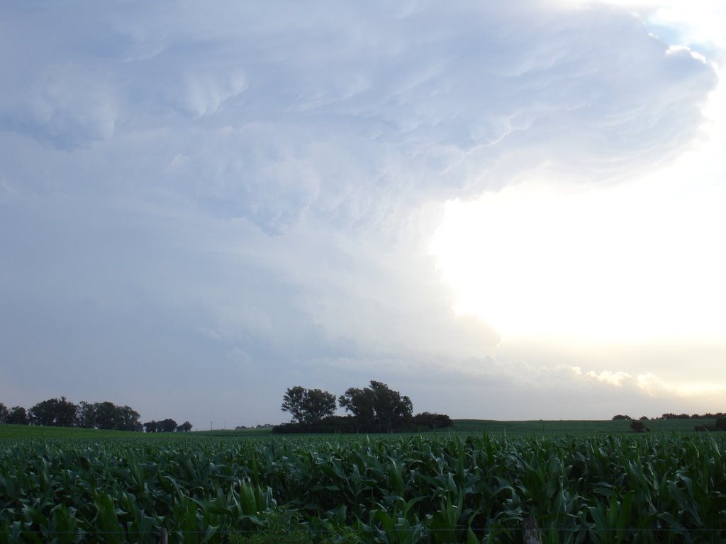 LA CASA DEL CHIMENTO (tormenta en campo de gori)