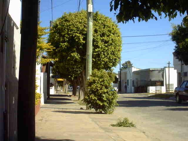 en la esquina de mi barrio cjm