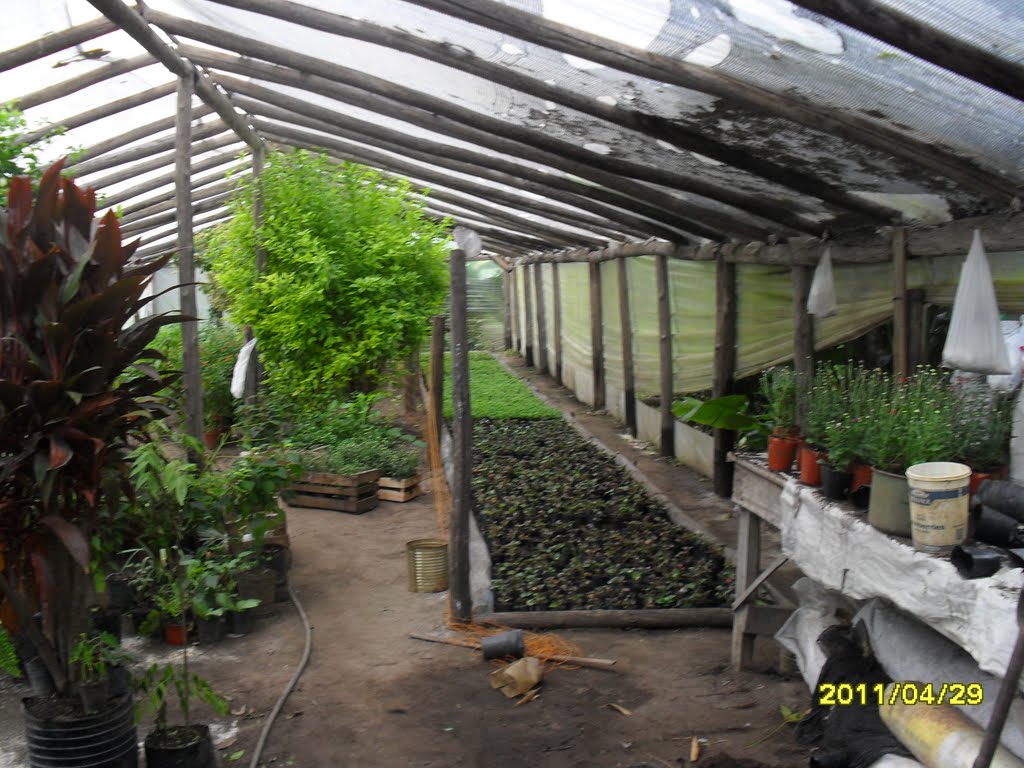 El Vivero de Salazar 01