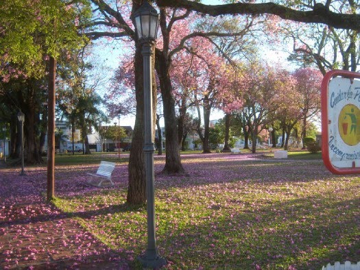 Plaza Italia