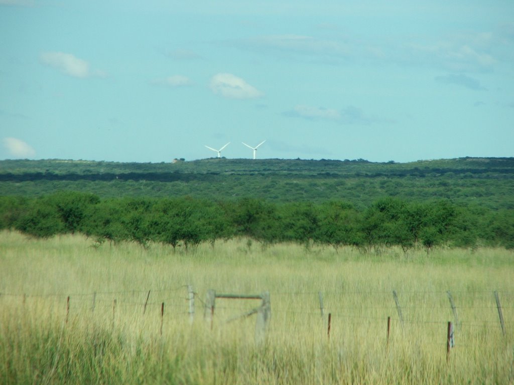 Los molinos de Viento de Acha