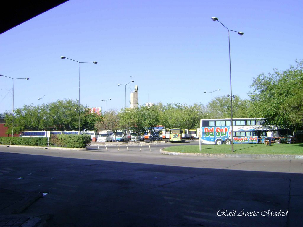 ▶ Terminal del Omnibus ®