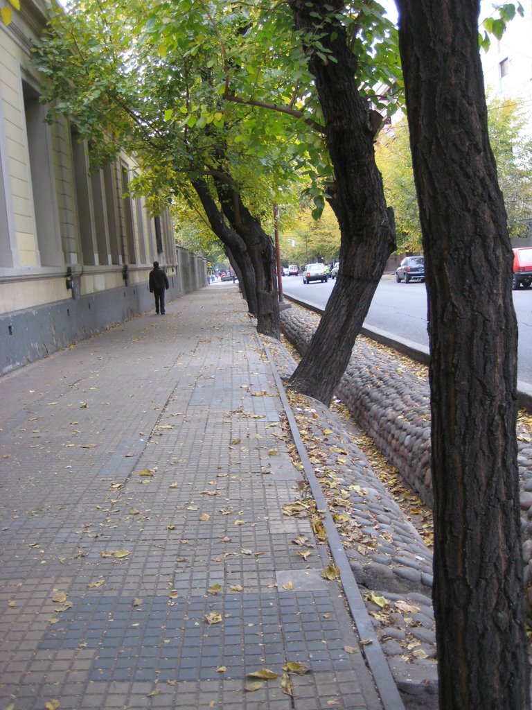 Calle con asequias en Mendoza
