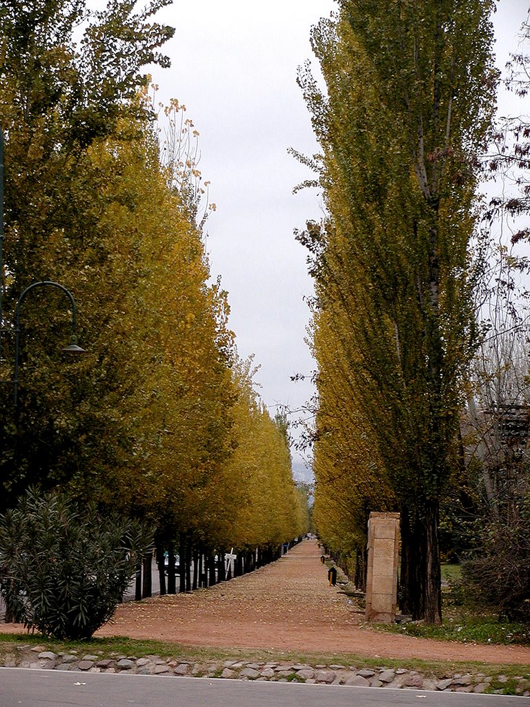 Parque Mendoza