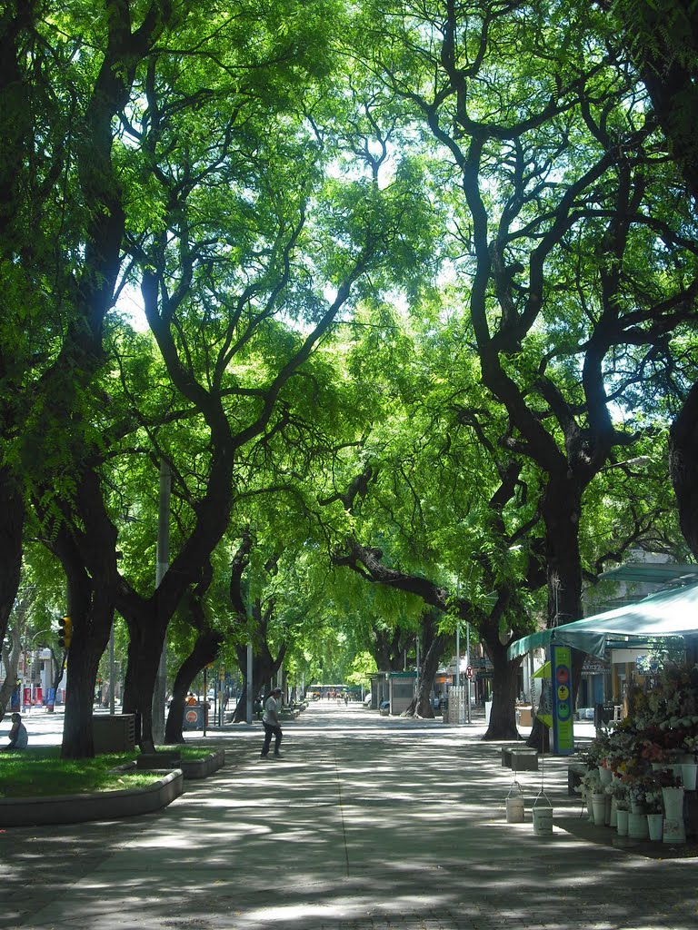 Avenida San Martin...