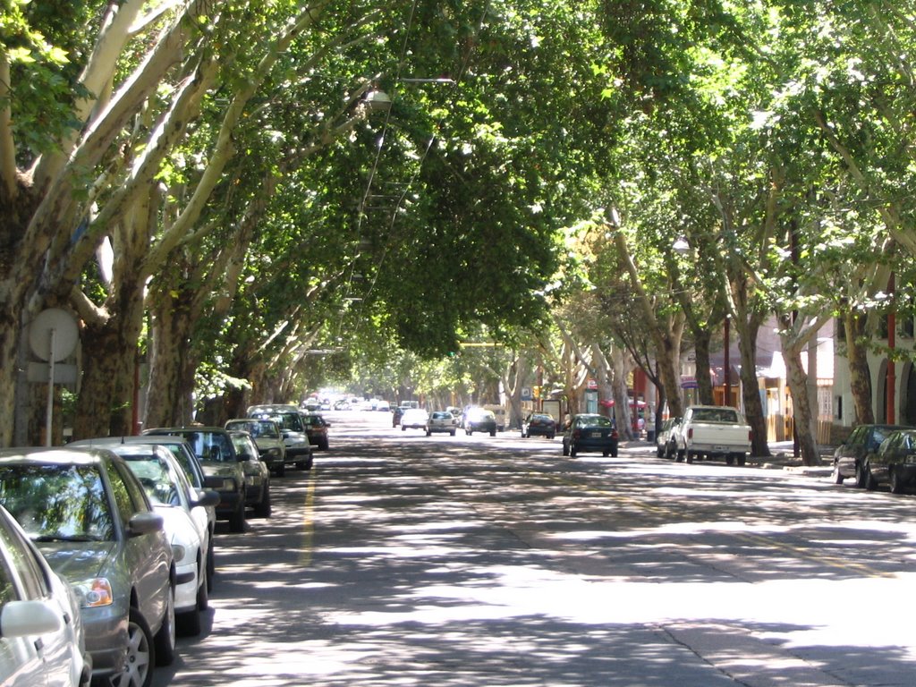 Arg_Mendoza 01