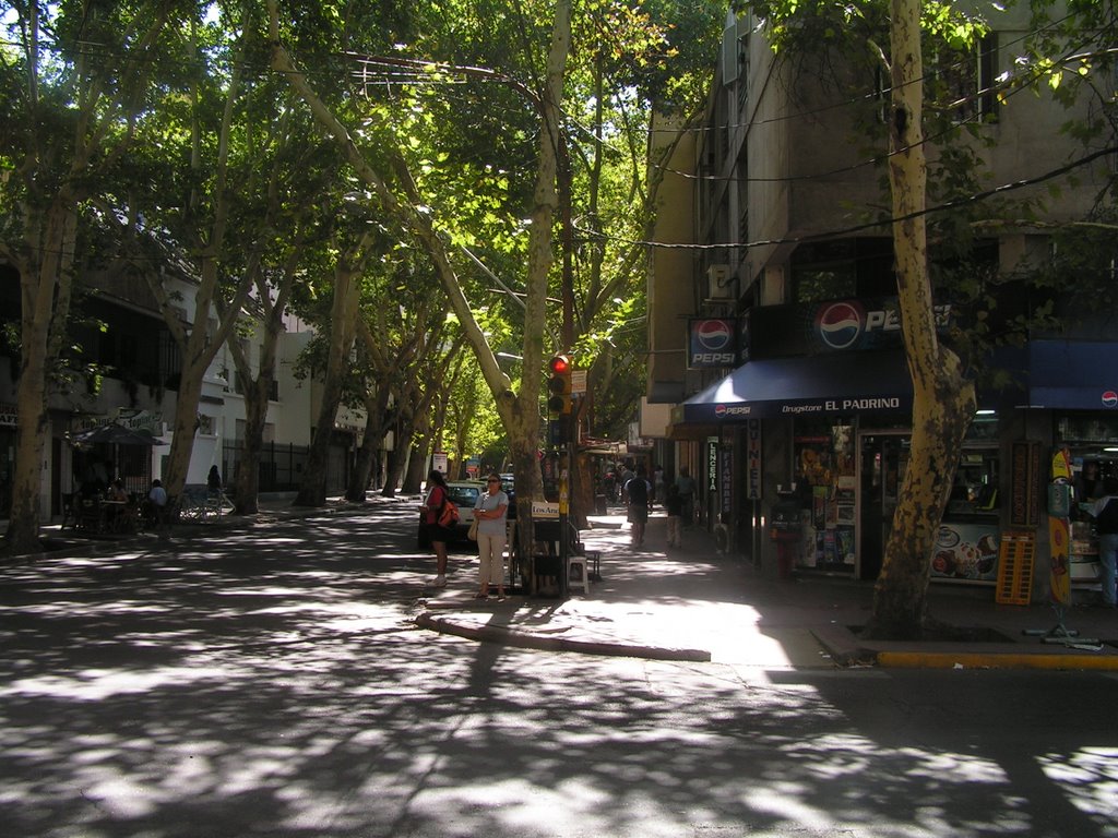 Mendoza Arboledas