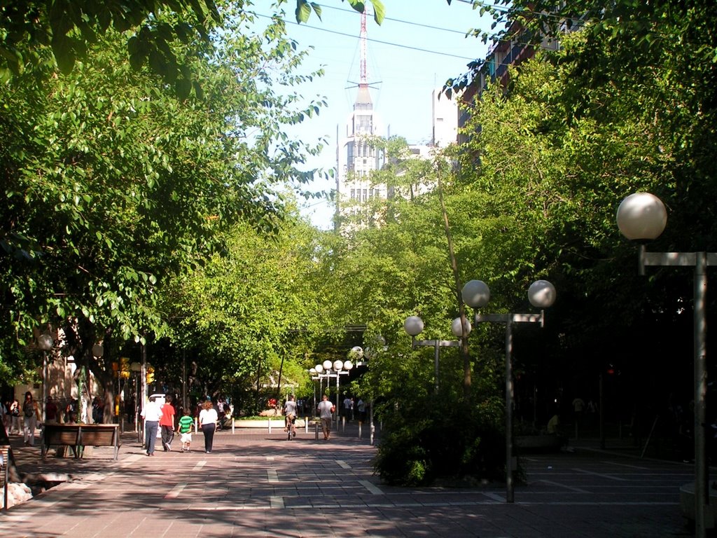 Mendoza Arboledas
