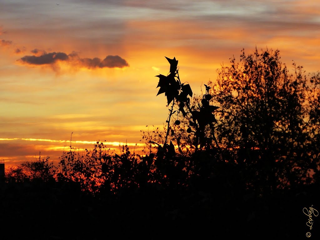 Amanecer de fuego en Mendoza