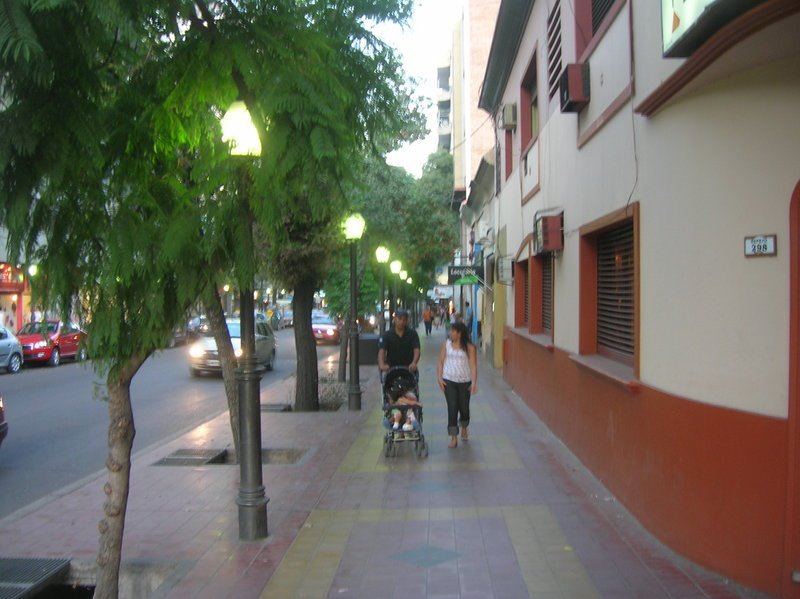 Calle céntrica de Mendoza al atardecer / Lautaro