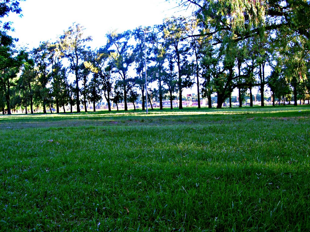 Parque Independencia Sombra y Futbol