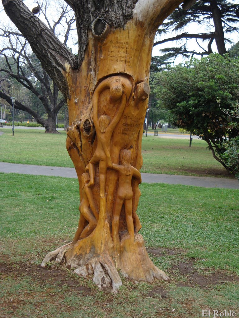 Ginkgo Biloba Arbol que Sobrevivio en Hiroshima Hoy Obra de Arte en Rosario, Santa Fe, Argentina